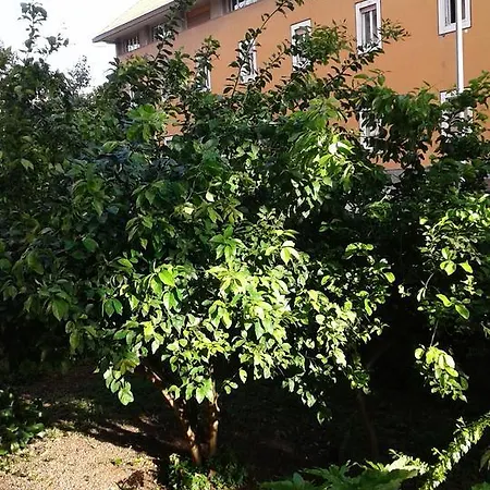 Bed & Breakfast Livinghouse Roma